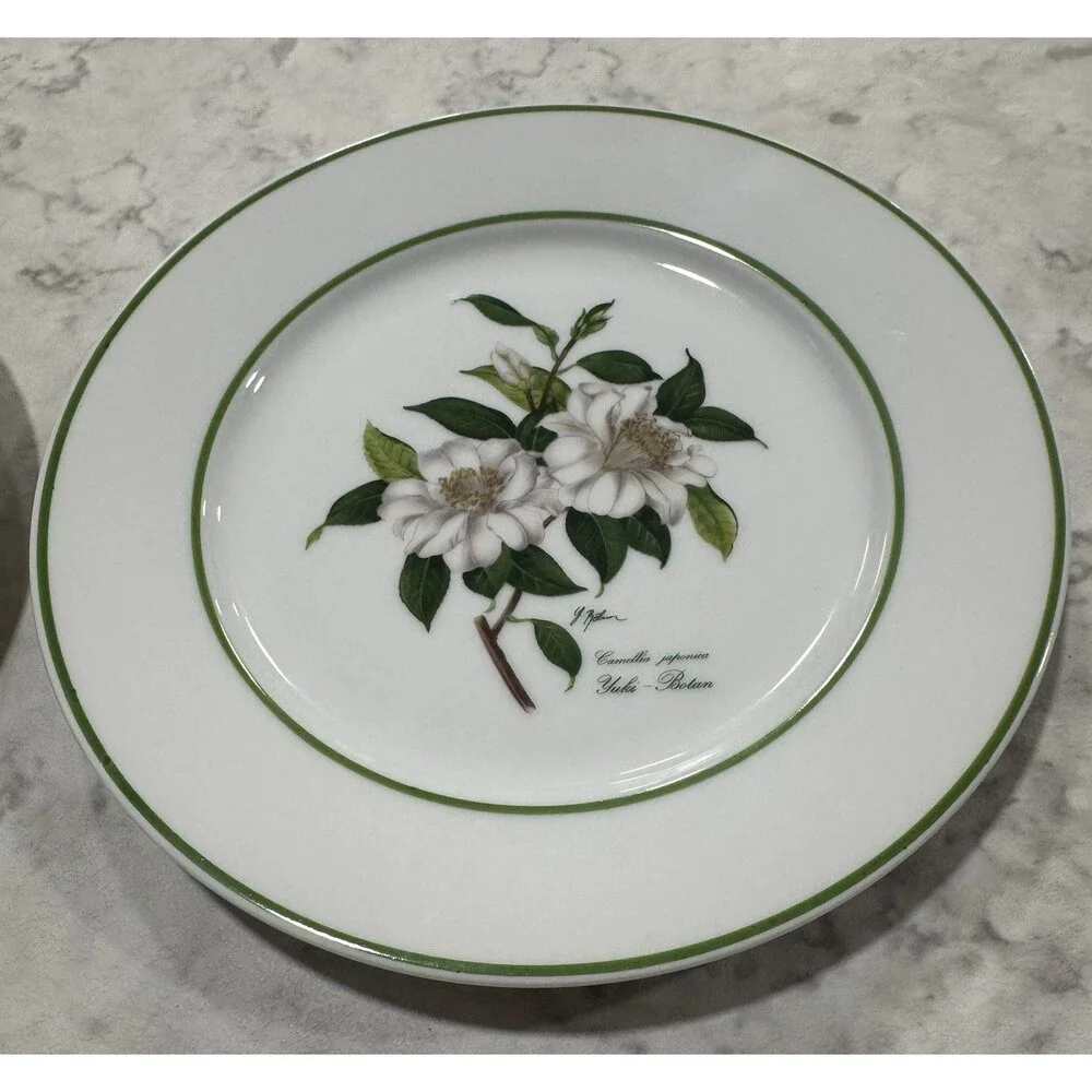 JWK Bavaria Western Germany Camellia Japonica Yuki-Botan Floral Botanical